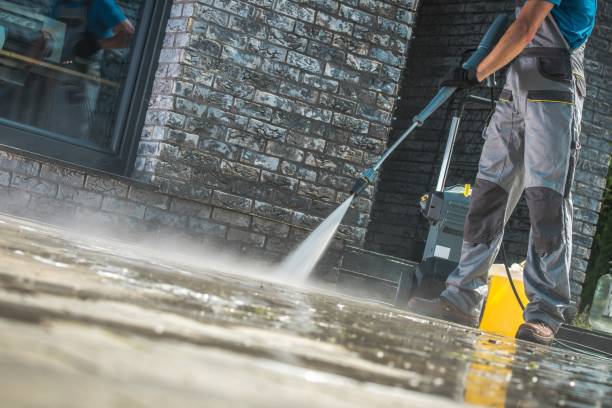 Best Pre-Holiday Cleaning  in Rosaryville, MD