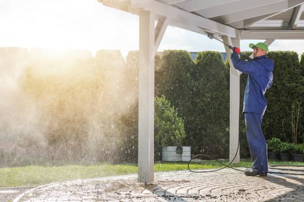 Best Animal Enclosure Cleaning  in Rosaryville, MD