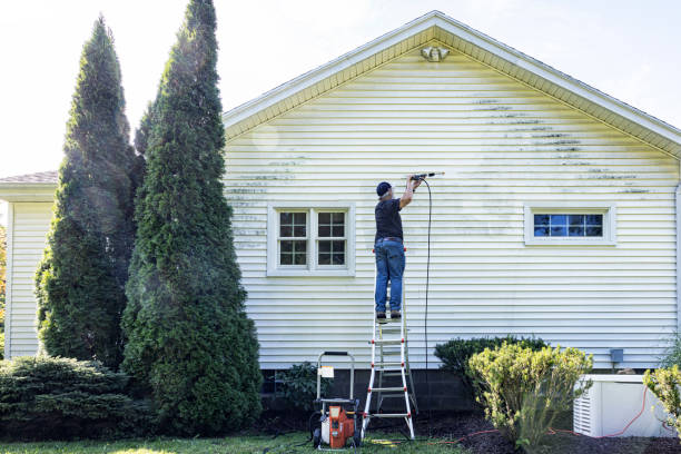 Best Gutter Cleaning  in Rosaryville, MD